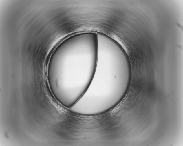 X0000095551124200712281600