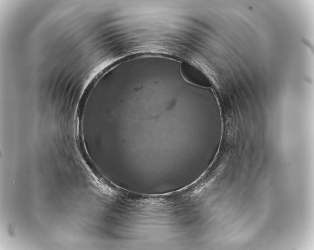 X0000095551125200712281600