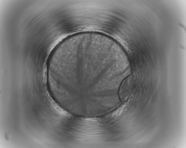 X0000095551126200712281600