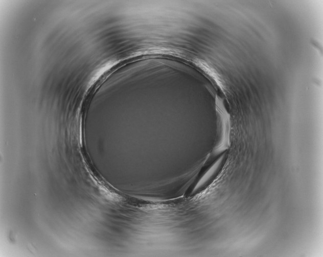 X0000095551127200712281600