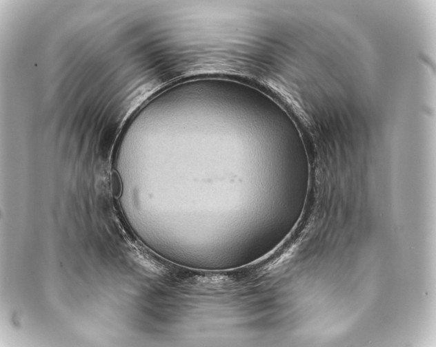 X0000095551129200712281600