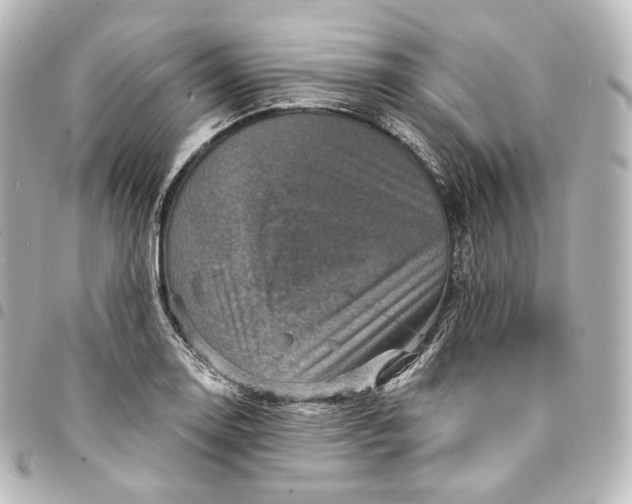 X0000095551130200712281600