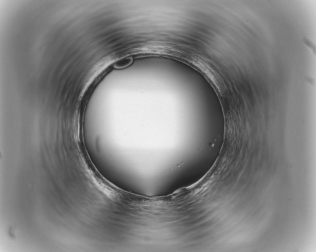 X0000095551131200712281600