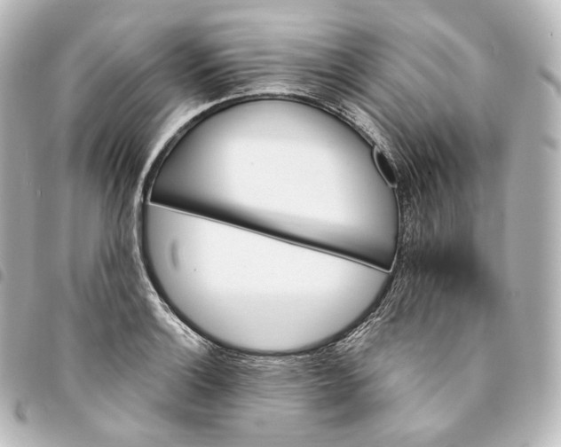 X0000095551132200712281600