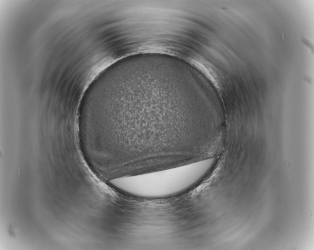 X0000095551133200712281600