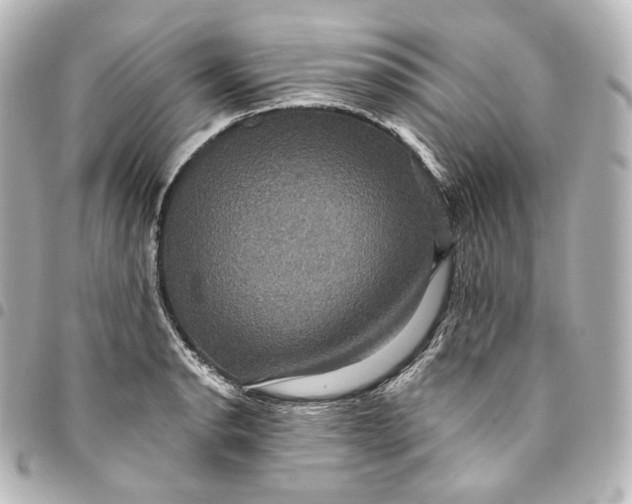 X0000095551134200712281600