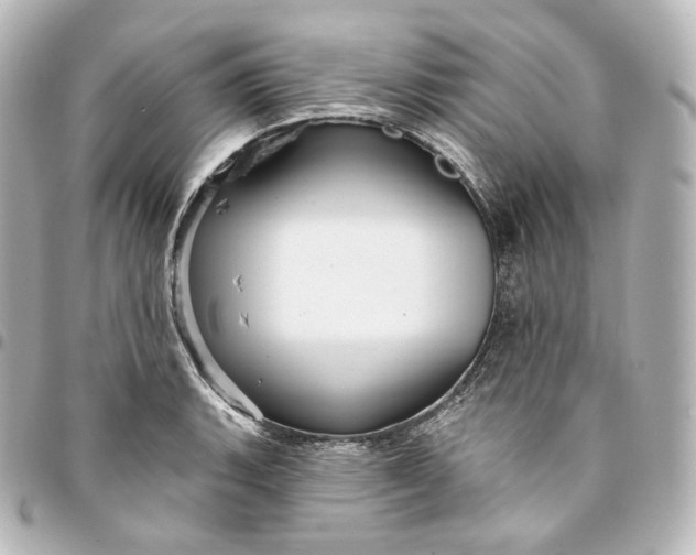 X0000095551135200712281600