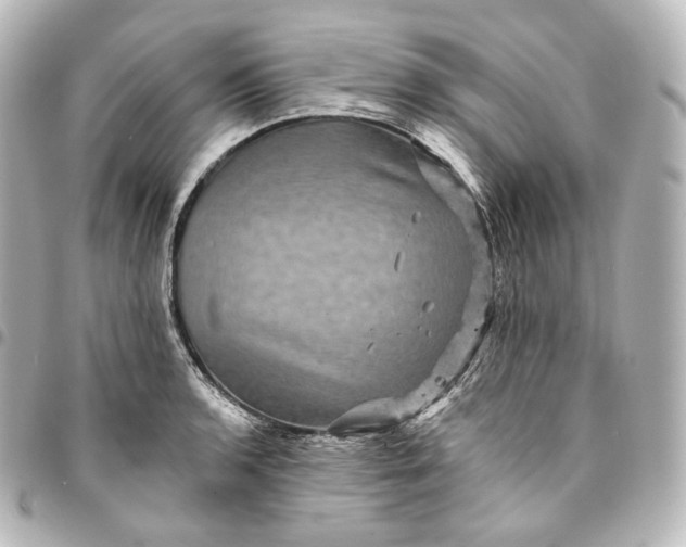 X0000095551136200712281600