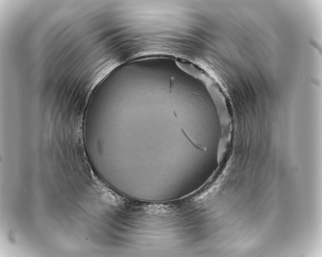 X0000095551137200712281600