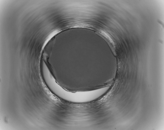 X0000095551138200712281600