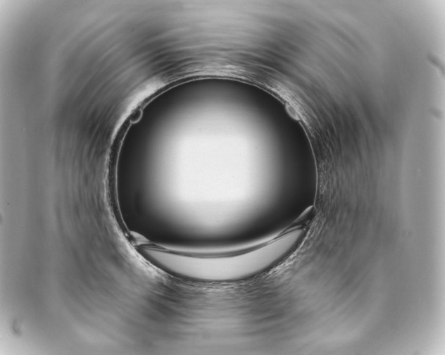 X0000095551139200712281600