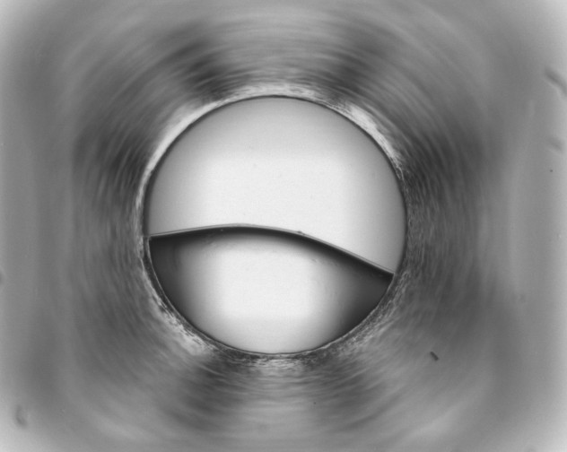 X0000095551140200712281600