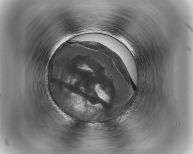 X0000095551142200712281600