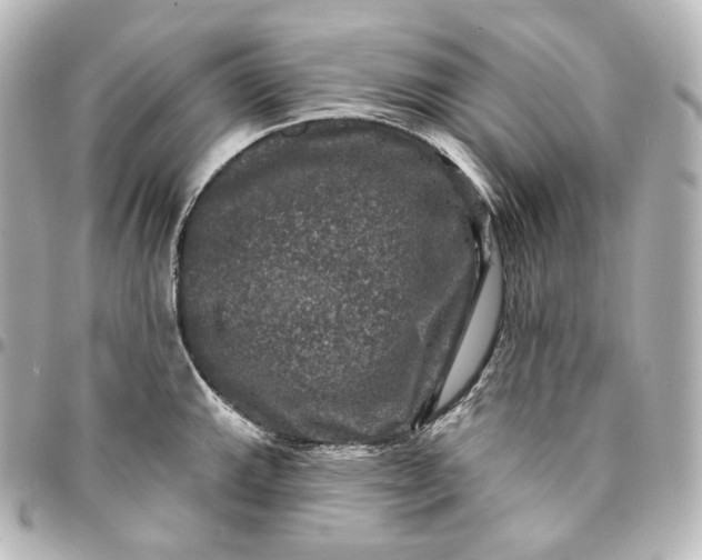 X0000095551143200712281600