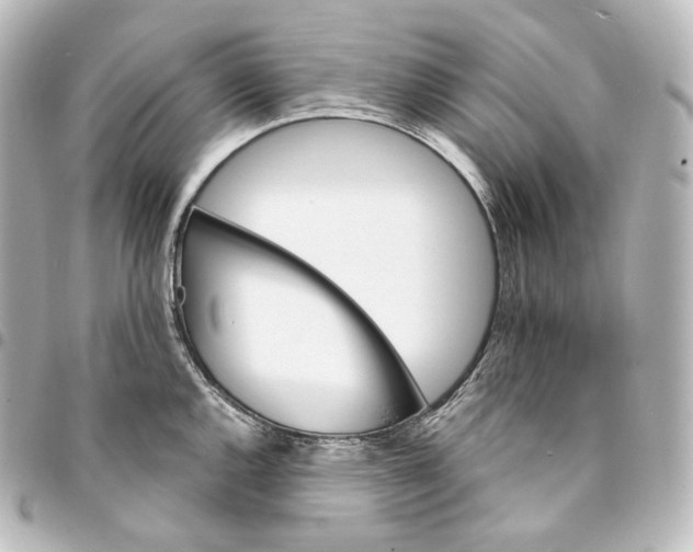 X0000095551144200712281600