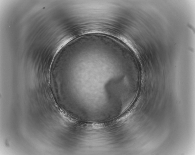 X0000095551145200712281600