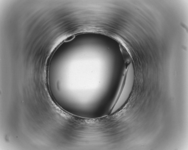 X0000095551147200712281600