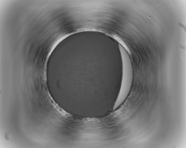 X0000095551148200712281600