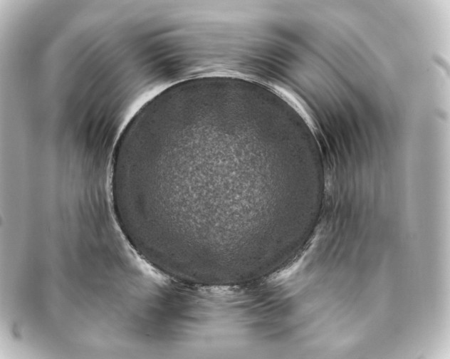 X0000095551149200712281600