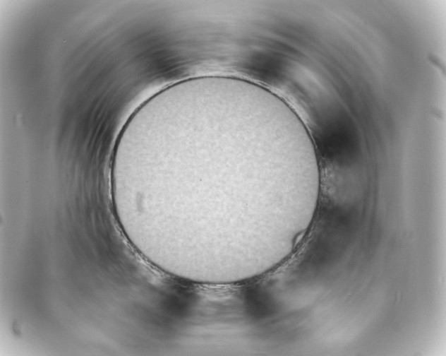 X0000095551150200712281600