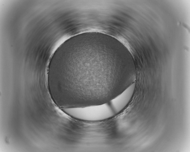 X0000095551151200712281600