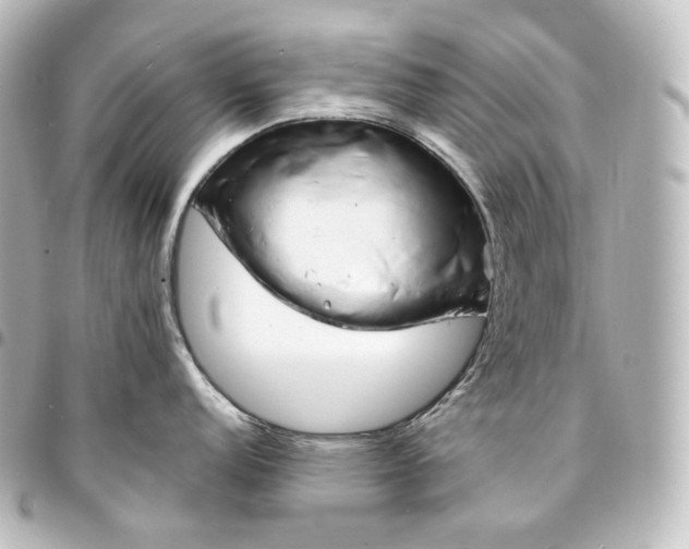 X0000095551152200712281600