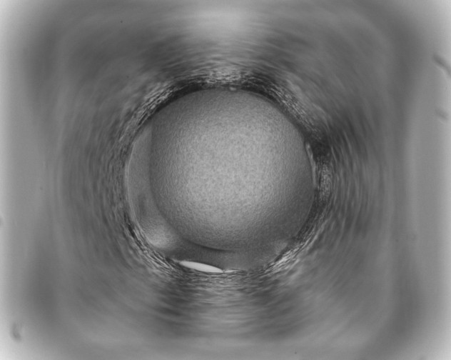 X0000095551153200712281600