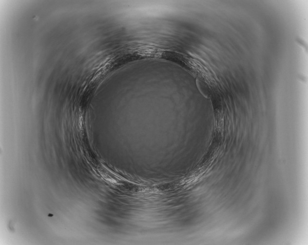 X0000095551154200712281600