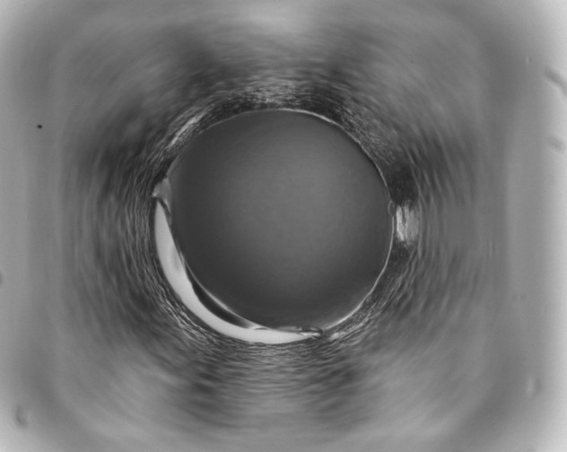 X0000095551155200712281600