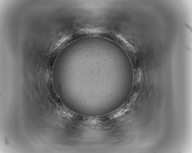 X0000095551157200712281600