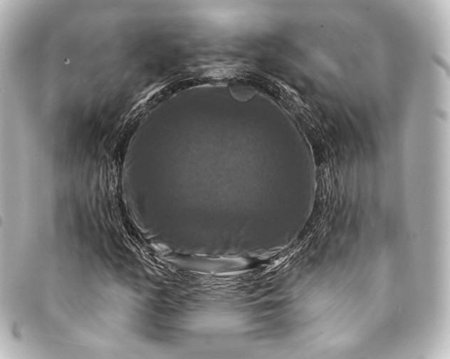 X0000095551158200712281600