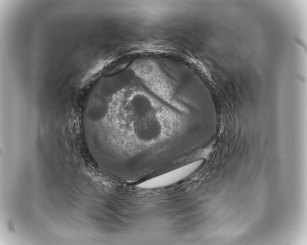 X0000095551159200712281600