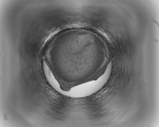 X0000095551160200712281600