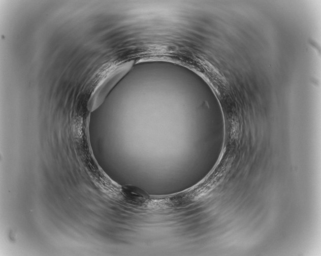 X0000095551161200712281600