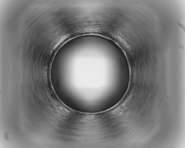 X0000095551162200712281600