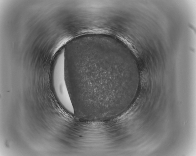 X0000095551163200712281600