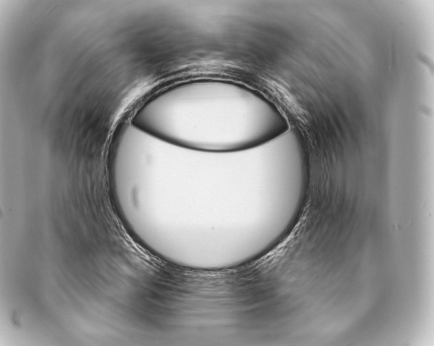 X0000095551164200712281600