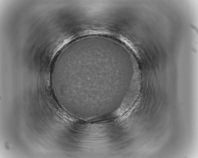 X0000095551165200712281600