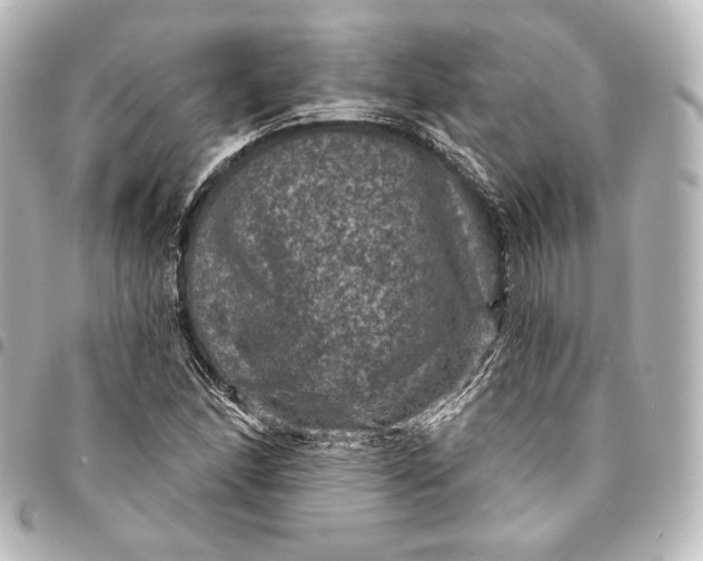 X0000095551166200712281600