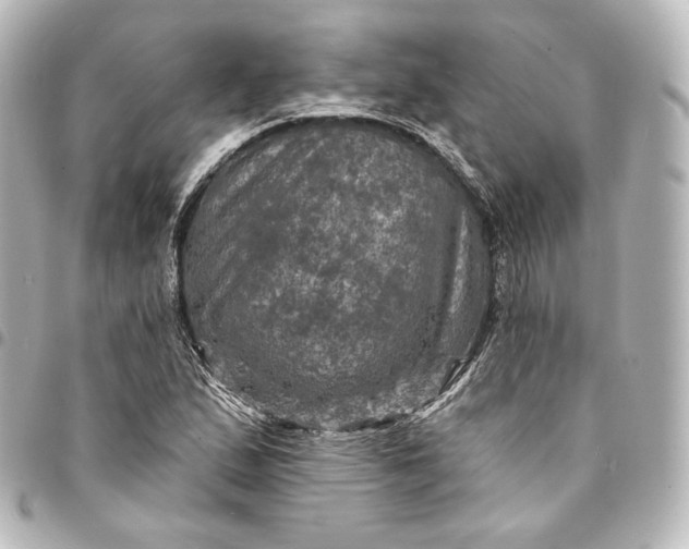 X0000095551167200712281600