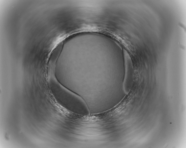 X0000095551168200712281600