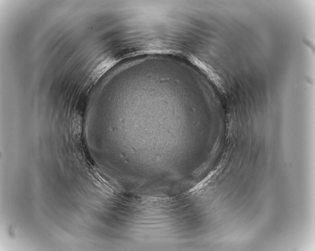 X0000095551169200712281600