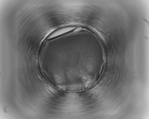 X0000095551170200712281600