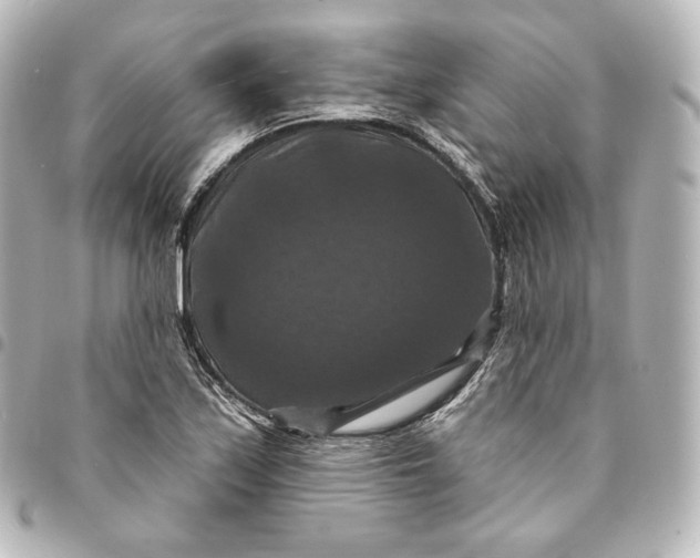 X0000095551171200712281600