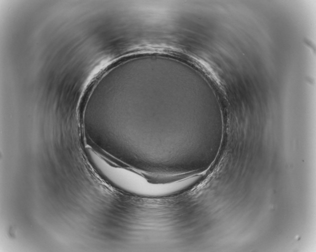 X0000095551172200712281600