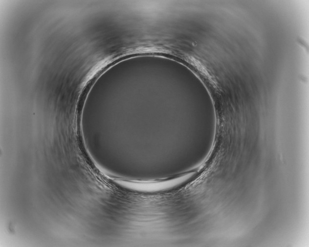 X0000095551173200712281559