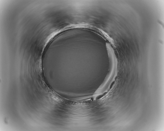 X0000095551174200712281559