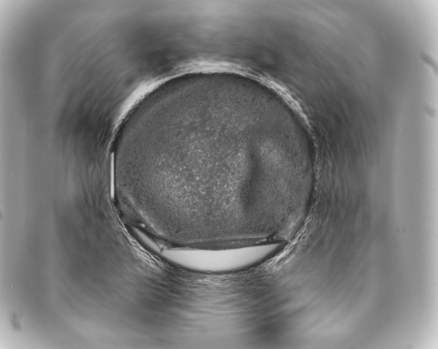 X0000095551175200712281559