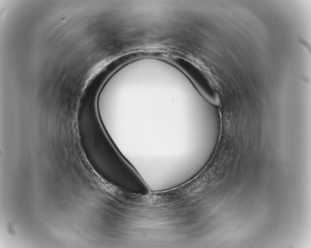 X0000095551176200712281559