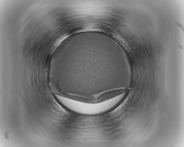 X0000095551177200712281559